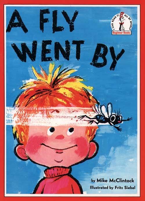 A Fly Went By