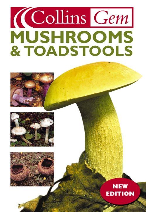 Mushrooms and Toadstools
