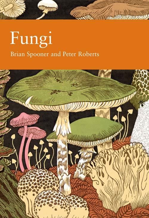 Fungi