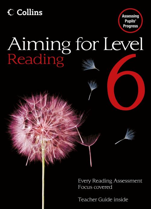 Aiming for Level 6 Reading