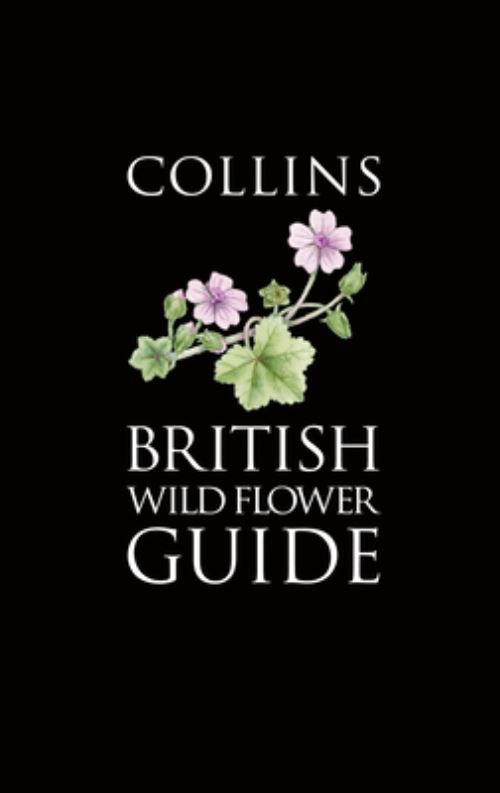 Collins British Common Wild Flower Guide