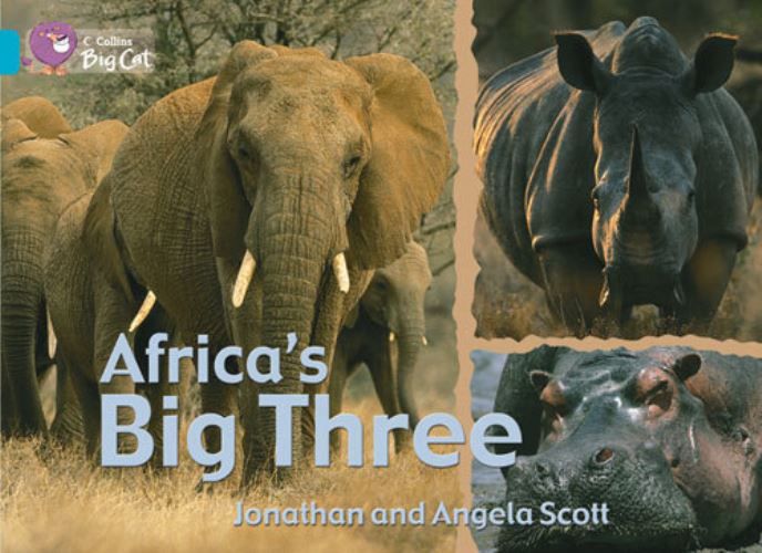 Africa's Big Three Workbook