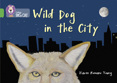 Wild Dog in the City
