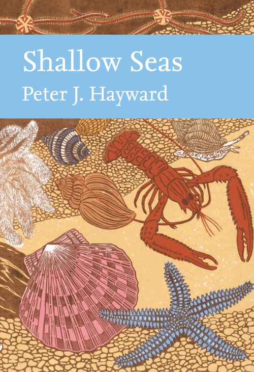 Shallow Seas