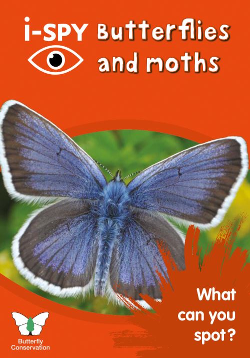 Butterflies and Moths