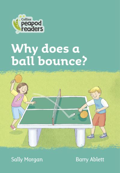 Why Does a Ball Bounce?