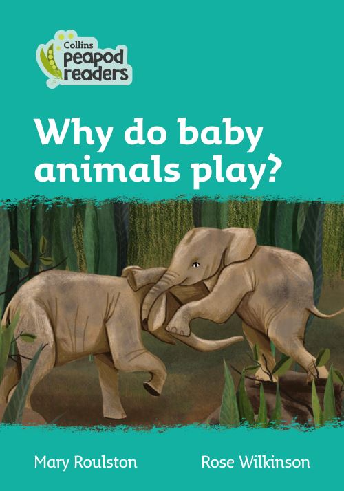 Why Do Baby Animals Play?