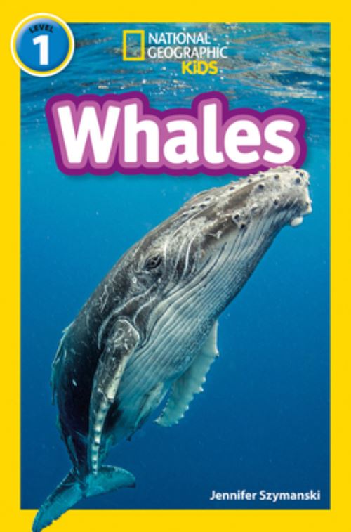 Whales