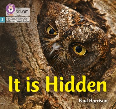 It Is Hidden