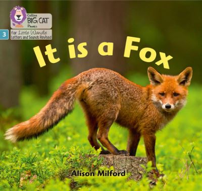 It Is a Fox