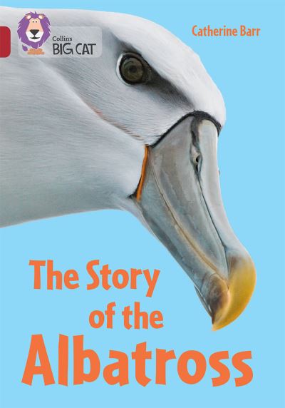 Meet the Albatross