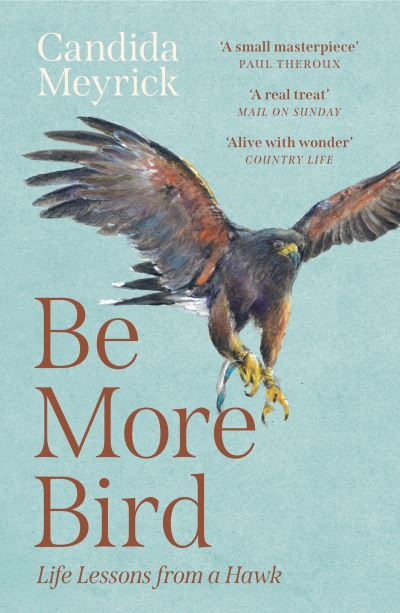 Be More Bird