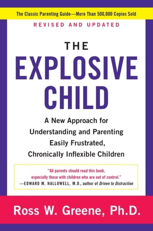 The Explosive Child