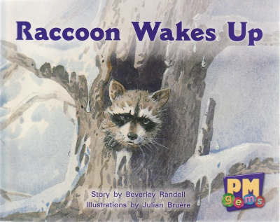 Raccoon Wakes Up