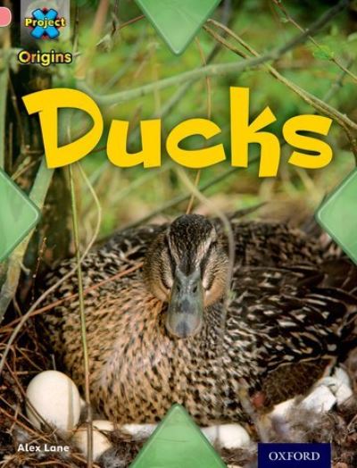 Ducks