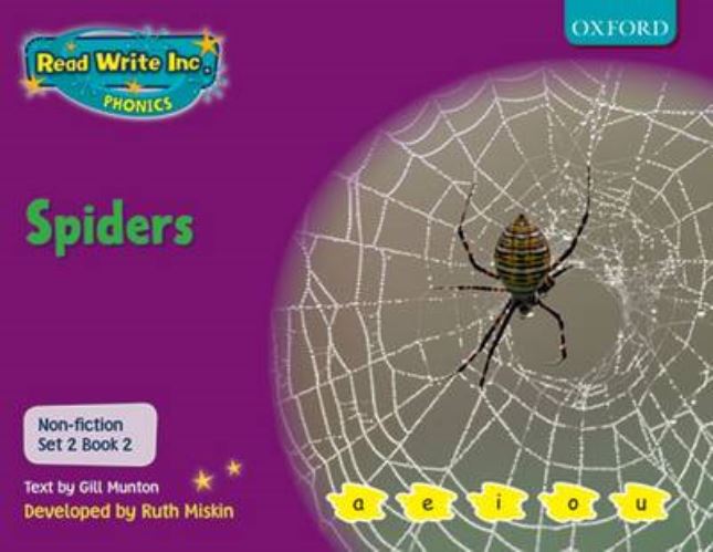 Spiders