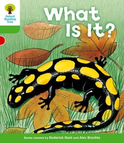What Is It?