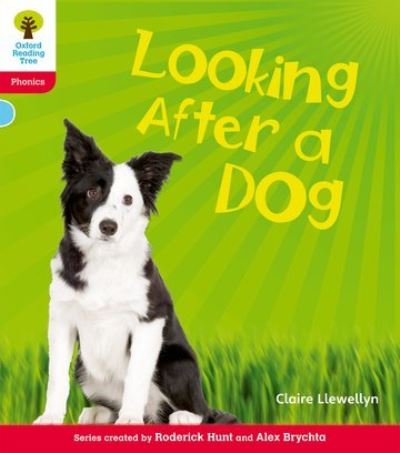 Looking After a Dog