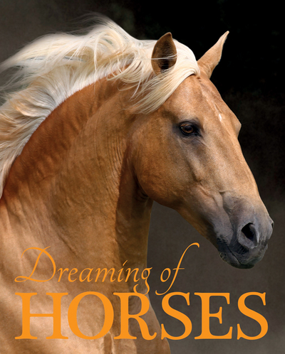 DREAMING OF HORSES