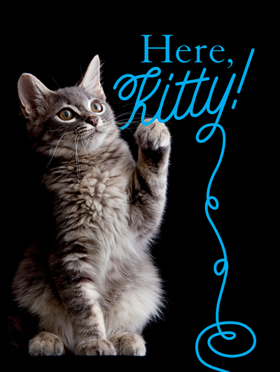 Here, Kitty!
