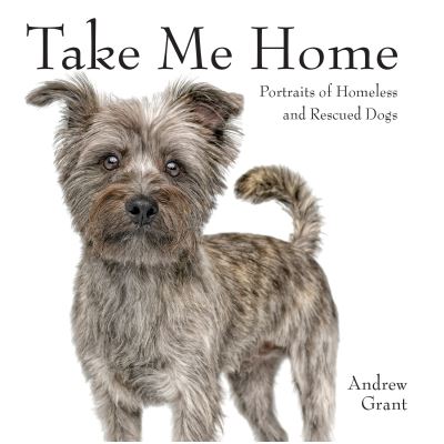 Take Me Home