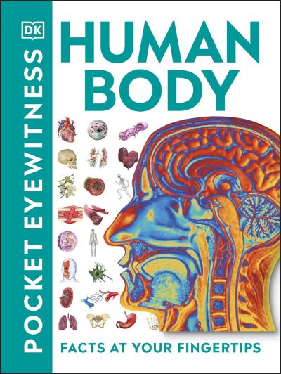 Human Body