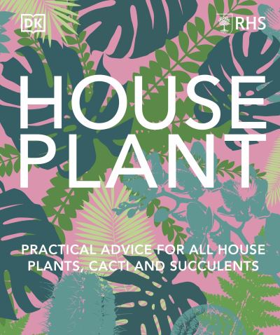 House Plant