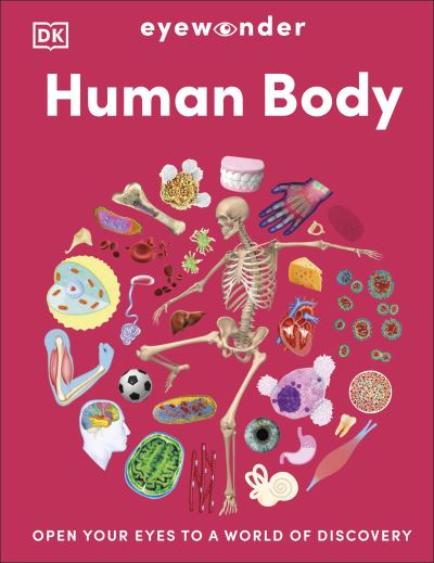 Human Body