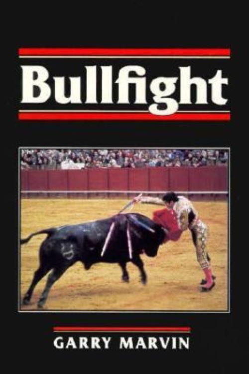 Bullfight