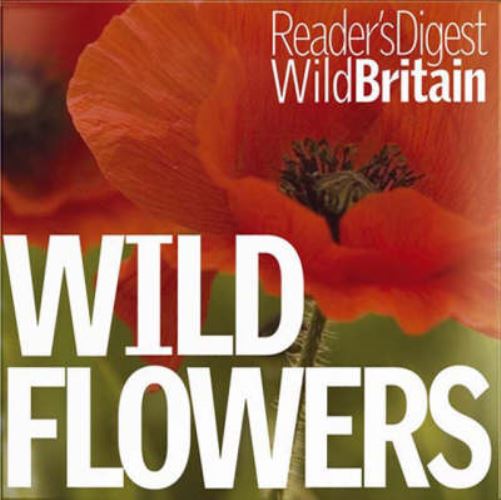 Wild Flowers
