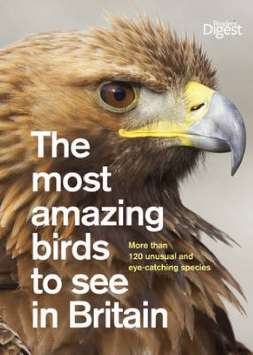 The Most Amazing Birds to See in Britain
