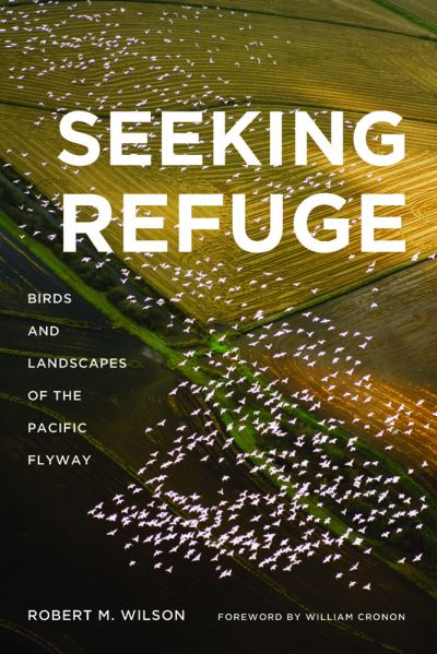 Seeking Refuge