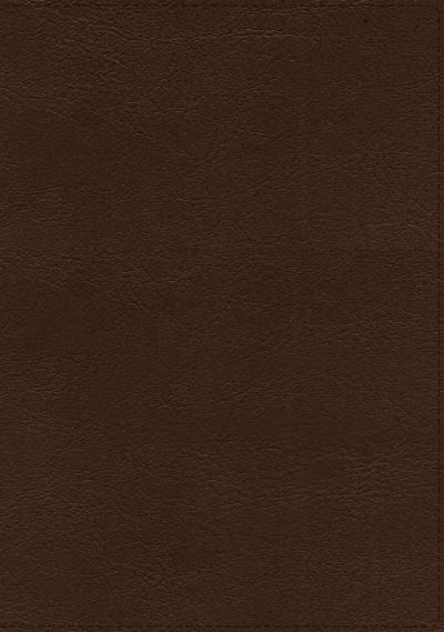 The Holy Bible