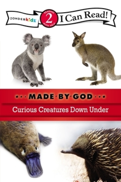 Curious Creatures Down Under