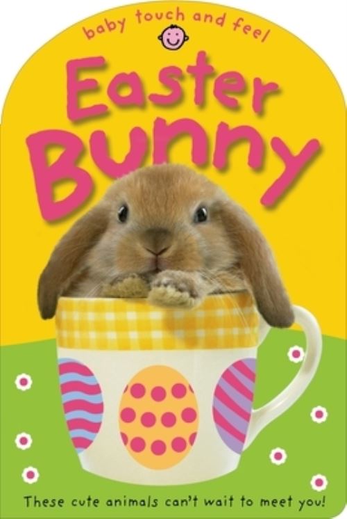 Baby Touch & Feel: Easter Bunny