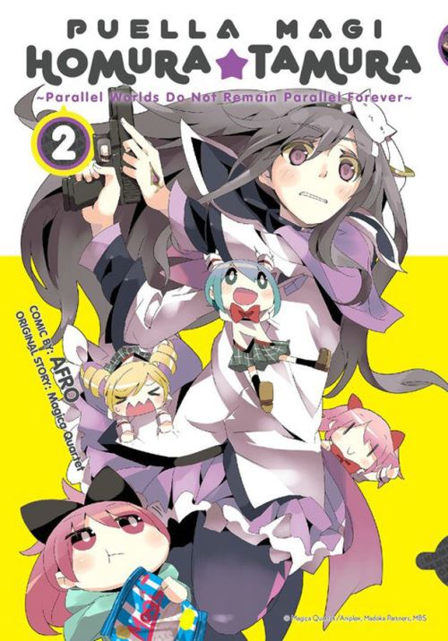 Parallel Worlds Do Not Remain Parallel Forever. Volume 2