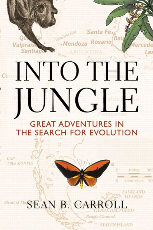 Into the Jungle