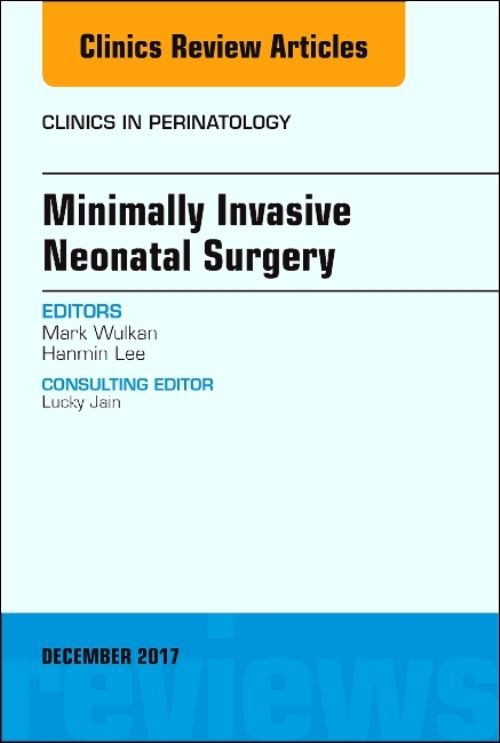 Minimally Invasive Neonatal Surgery