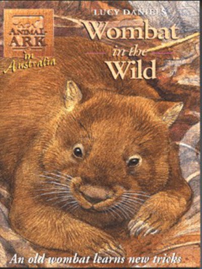 Wombat in the Wild