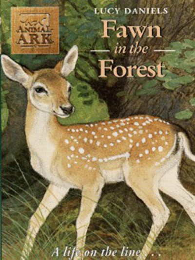 Fawn in the Forest