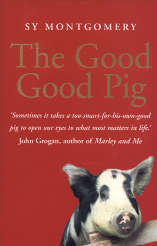 The Good Good Pig
