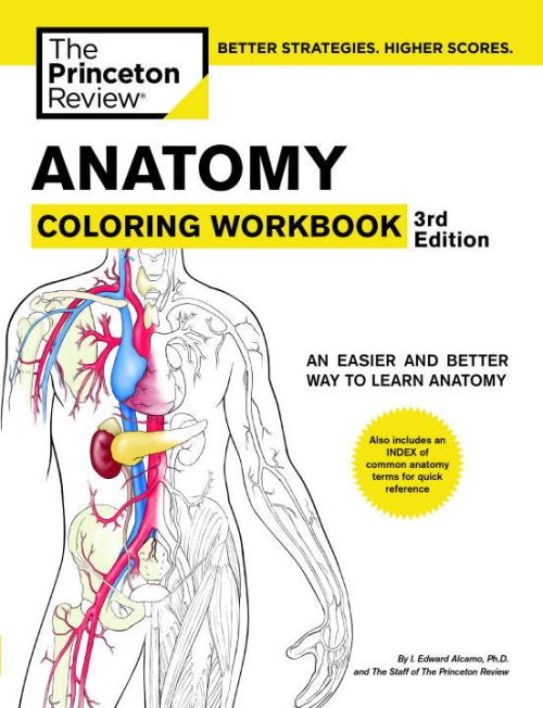 Anatomy Coloring Workbook