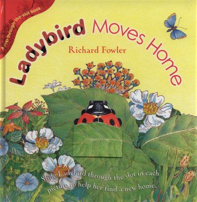 Ladybird Moves Home