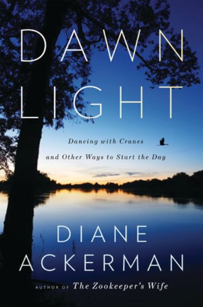 Dawn Light