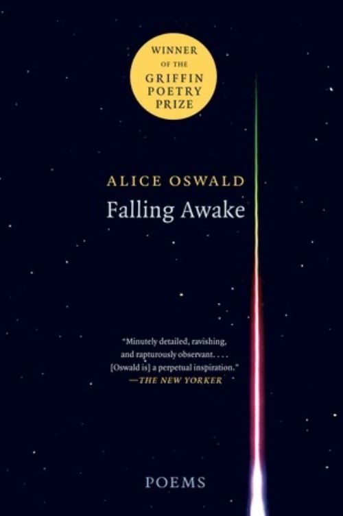 Falling Awake