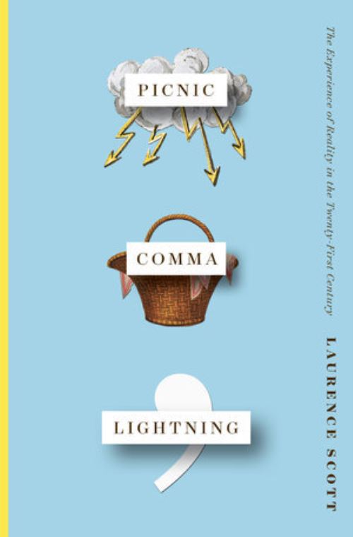Picnic Comma Lightning