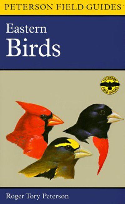 Eastern Birds