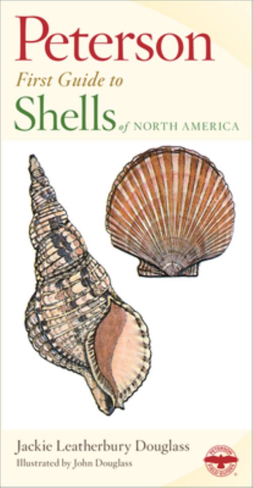 Shells