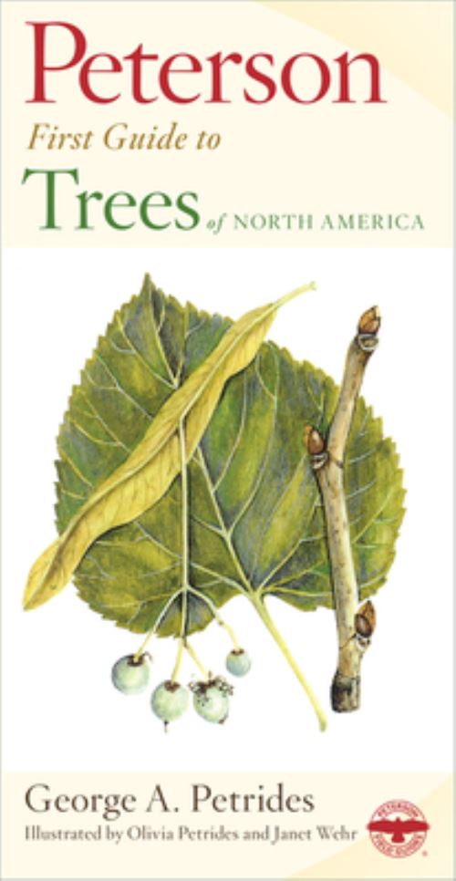 Trees