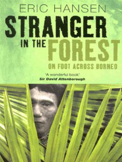 Stranger in the Forest